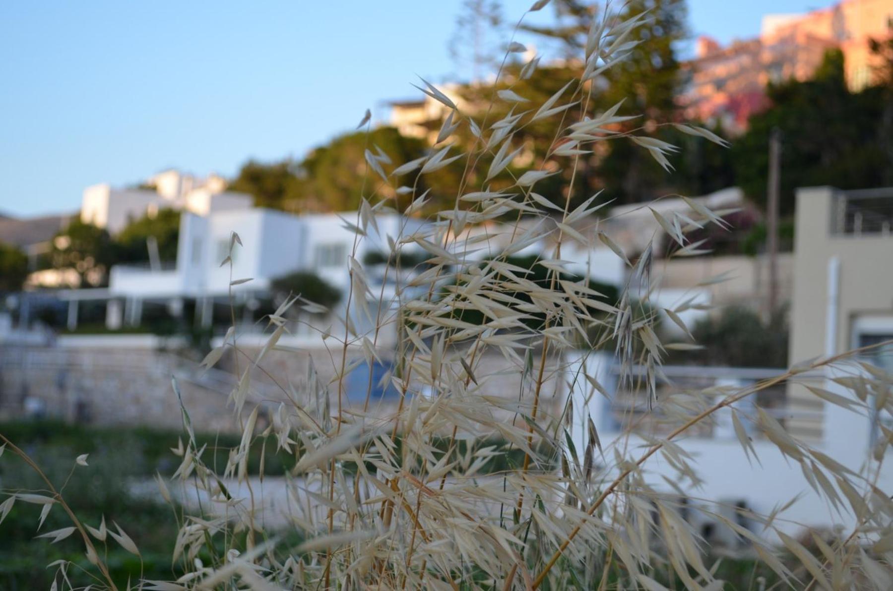 White Lotus Seaside Apartment Kini Luaran gambar